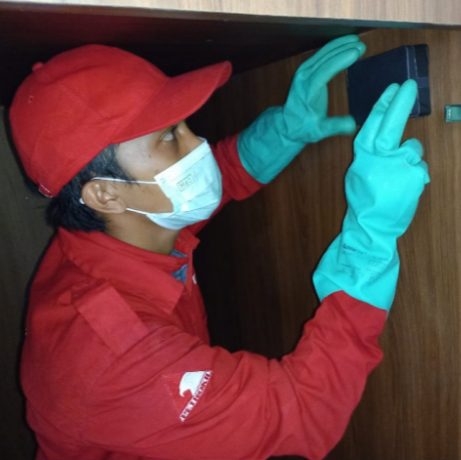jasa anti rayap sistem umpan mati ratu