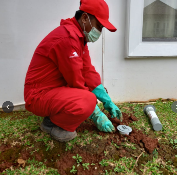 jasa anti rayap sistem umpan tanam outdoor