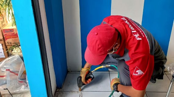 jasa anti rayap, jasa pembasmi rayap