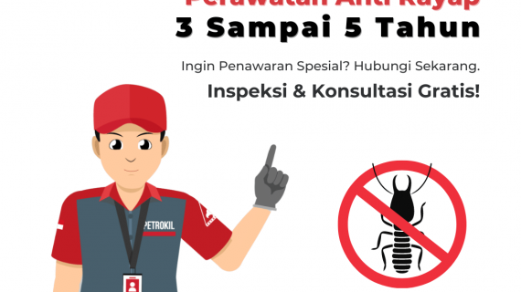 jasa anti rayap profesional