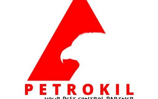 cropped Logo Logo