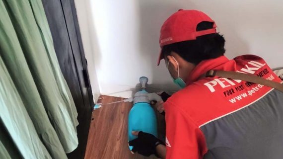 jasa anti rayap cikarang