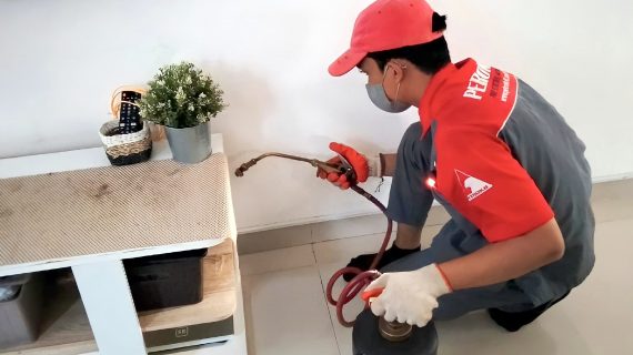 jasa anti rayap depok