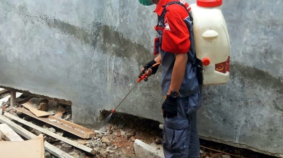 jasa anti rayap depok