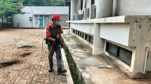 jasa anti rayap jakarta
