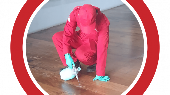 spraying