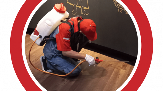 spraying hama