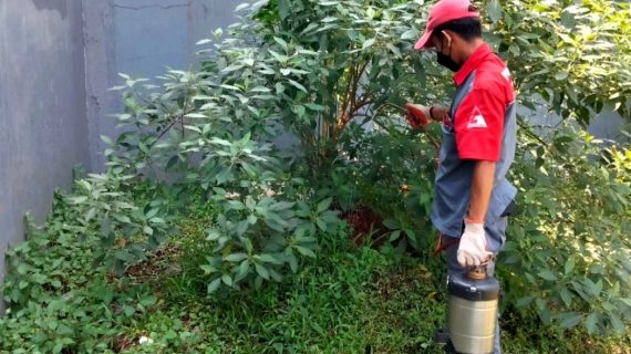 jasa pembasmi rayap cijantung jakarta timur