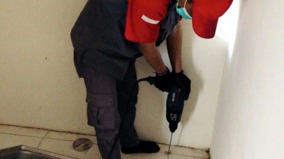 jasa suntik rayap kampung gedong jakarta timur