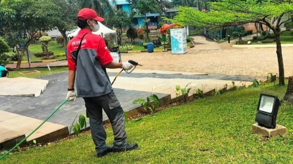 harga jasa pembasmi rayap pekayon jakarta timur