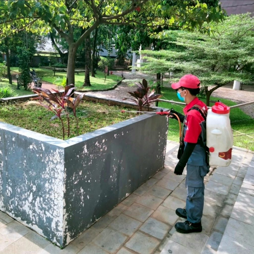 jasa semprot rayap kalisari jakarta timur