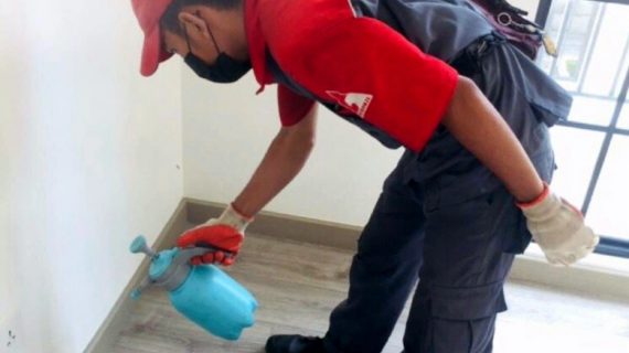 harga jasa anti rayap kalisari jakarta timur