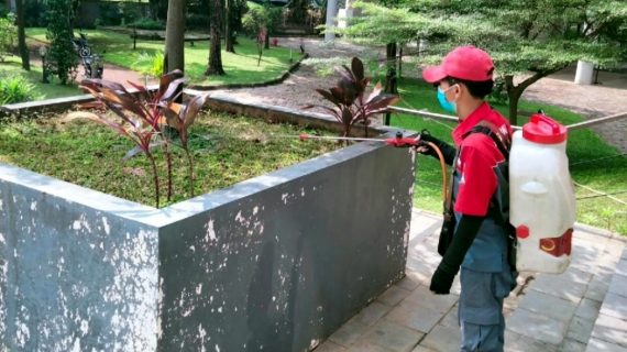 jasa semprot rayap kalisari jakarta timur