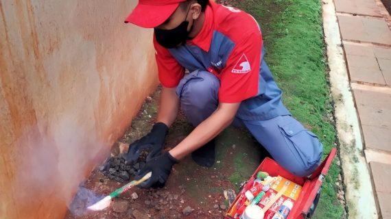 jasa pembasmi tikus pasar rebo jakarta timur