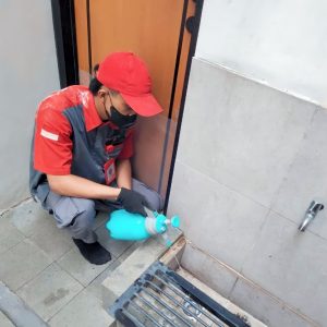 Jasa Pembasmi Tikus Pasar Rebo Jakarta #1 Metode Terbaik 66 jasa pengusir tikus pasar rebo jakarta timur