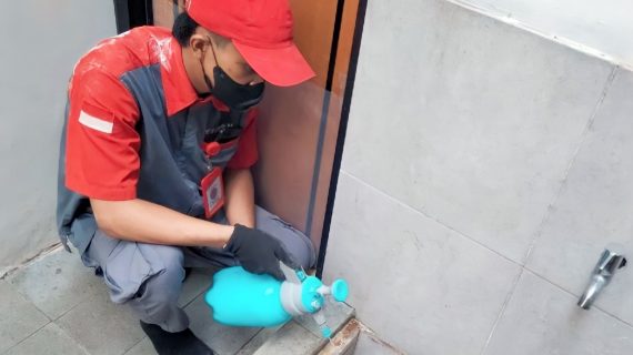 jasa pengusir tikus pasar rebo jakarta timur