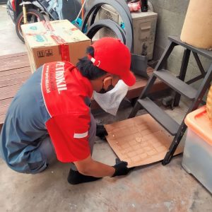 Jasa Pembasmi Tikus Pasar Rebo Jakarta #1 Metode Terbaik 67 jasa pest control tikus pasar rebo jakarta timur