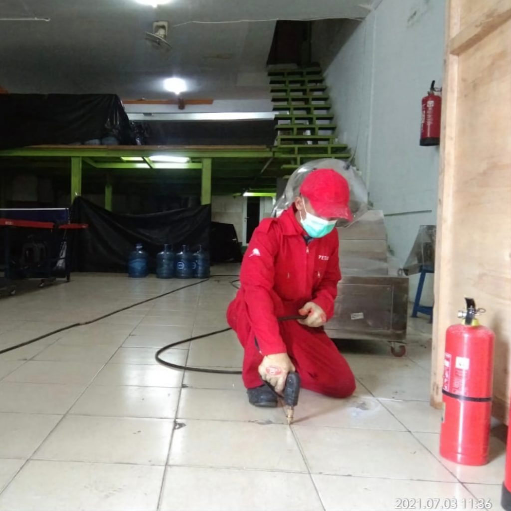 jasa suntik rayap kampung baru jakarta timur