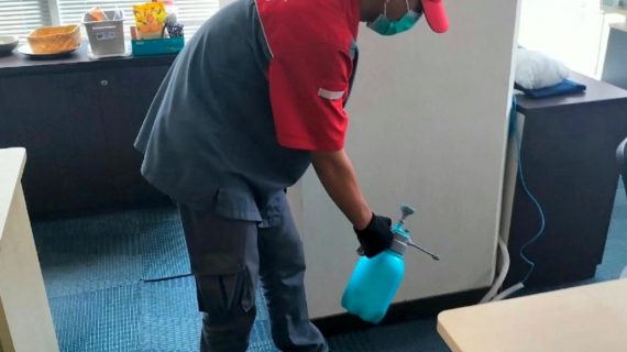 jasa anti rayap kampung baru jakarta timur