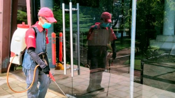 jasa semprot rayap kampung baru jakarta timur