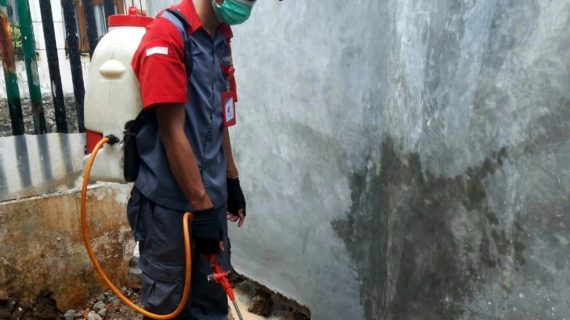 harga jasa anti rayap ciracas jakarta timur
