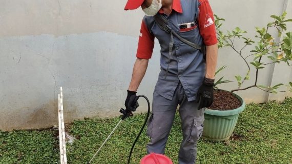 jasa semprot rayap kampung rambutan jakarta timur