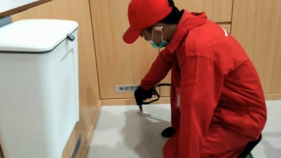 jasa pembasmi rayap susukan jakarta timur