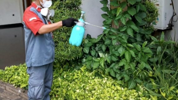 jasa anti rayap susukan jakarta timur