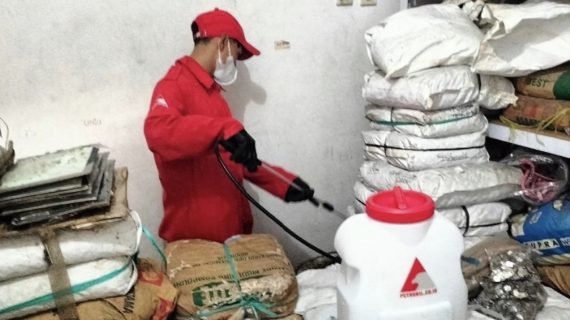jasa anti rayap kelapa dua wetan jakarta timur