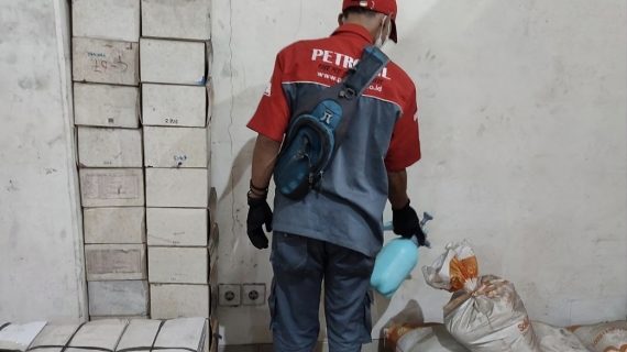jasa semprot rayap cibubur jakarta timur