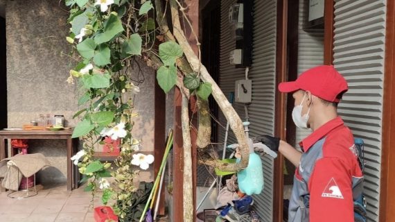 jasa anti rayap cibubur jakarta timur