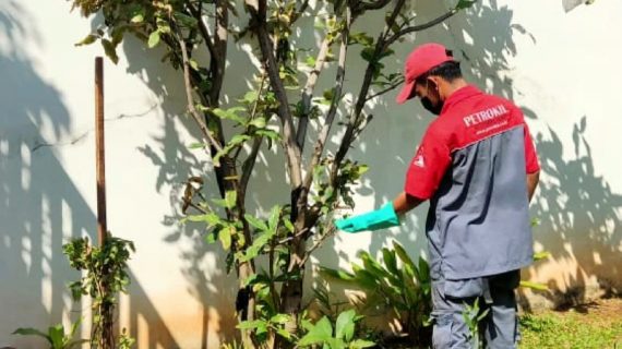 jasa anti rayap kenanga tengerang