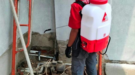 jasa Pembasmi rayap kampung gondrong tangerang