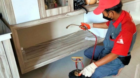 harga jasa anti rayap cipondoh tangerang