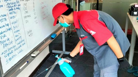 jasa pembasmi kecoa