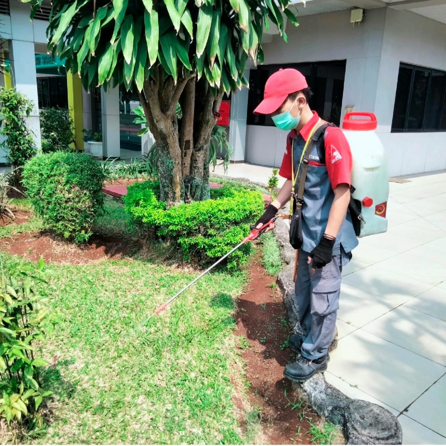 Jasa Anti Rayap Cipondoh Tangerang #1 Metode Terbaik 44 jasa anti rayap cipondoh tangerang