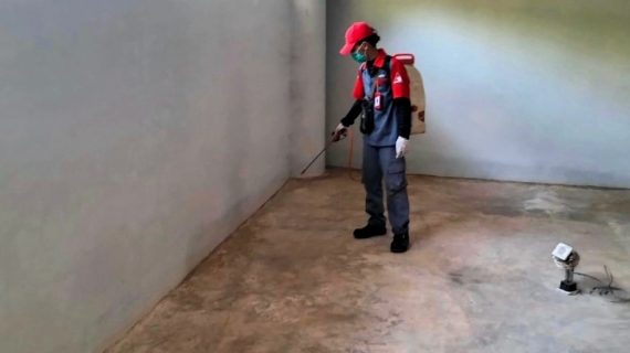 jasa pest control rayap pinang tangerang