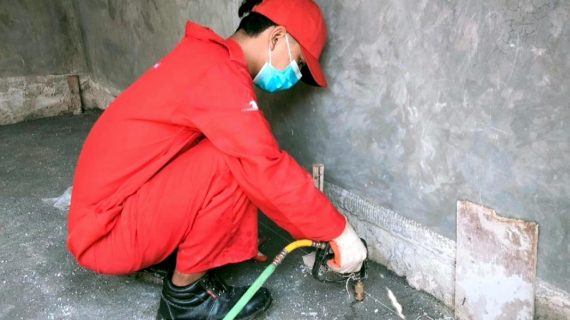 harga jasa anti rayap cibodas tangerang