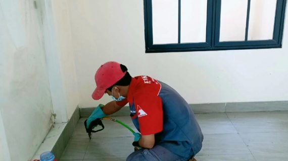 Jasa anti rayap Ciseeng