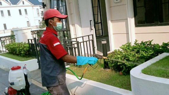 Jasa anti rayap Citeureup