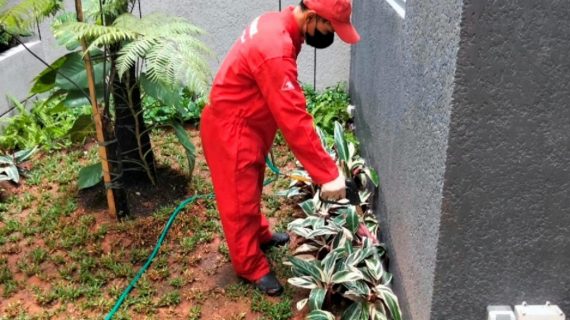 jasa suntik rayap periuk tangerang