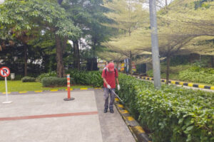 jasa rayap fogging rayap