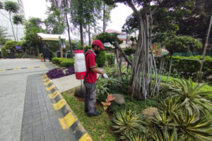 Panggil Jasa Pengusir Rayap Terbaik #1 Jabodetabek