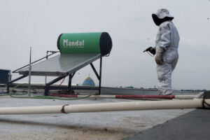 Panggil Jasa Pengusir Rayap Terbaik #1 Jabodetabek