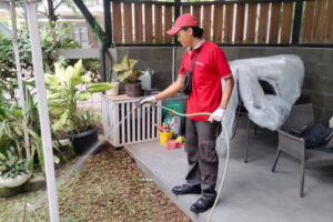jasa semprot anti rayap