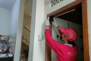 Jasa pembasmi rayap Jakarta