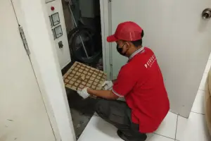 Top No.1 Harga Jasa Anti Rayap Setu Bekasi