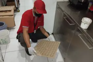 Top No.1 Harga Jasa Anti Rayap Tarumajaya Bekasi