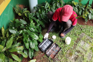 Top No.1 Harga Jasa Anti Rayap Legok Tangerang