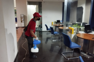 Jasa Pembasmi Hama Kembangan Jakarta No.1 Terbaik